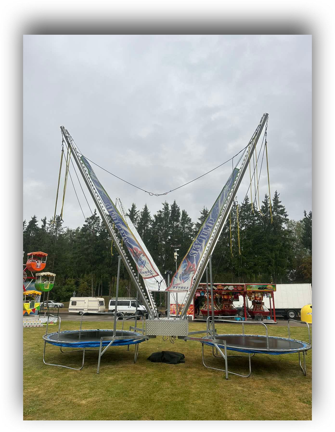 Mažoji šokdynė - nuotrauka 5